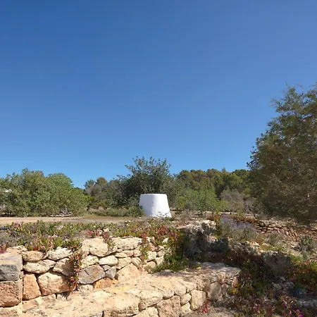 Villa Boutique Ibiza